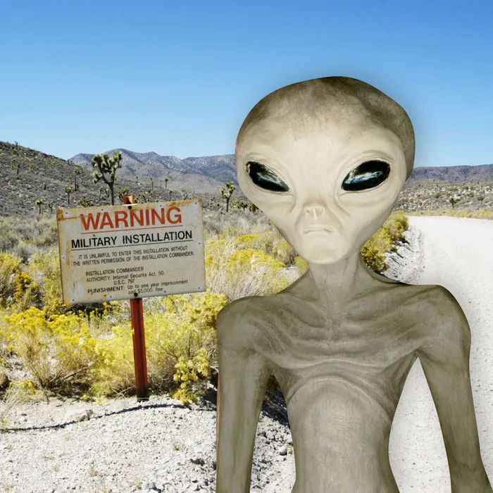 Area 51 Classified Cafeteria Meatloaf